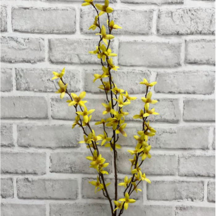 FORSTHIA SPRAY
