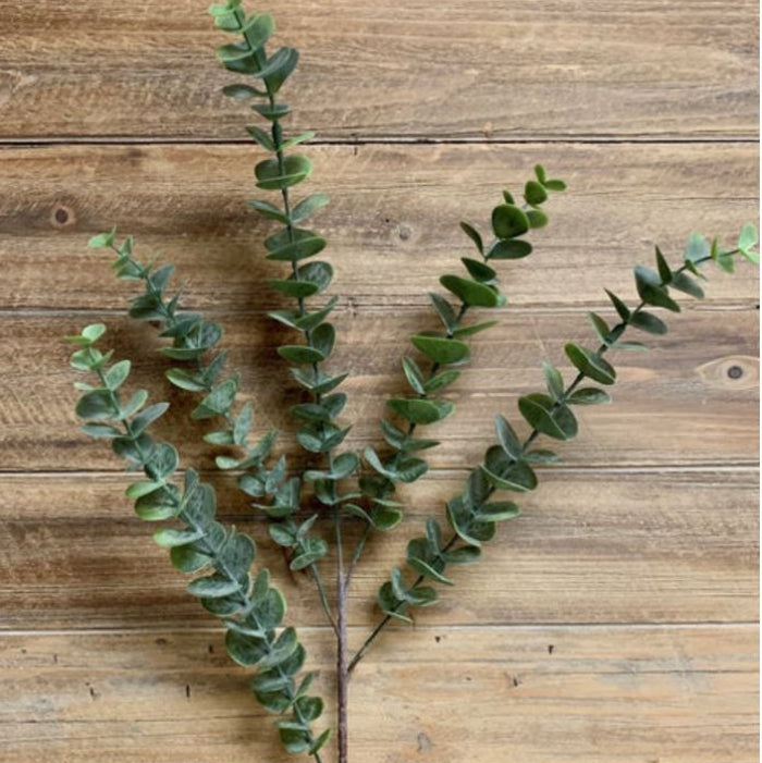 GREEN EUCALYPTUS SRAY WITH BRANCHES