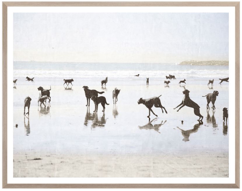 Dogs Day at the Beach - 37.5 × 29.5 in