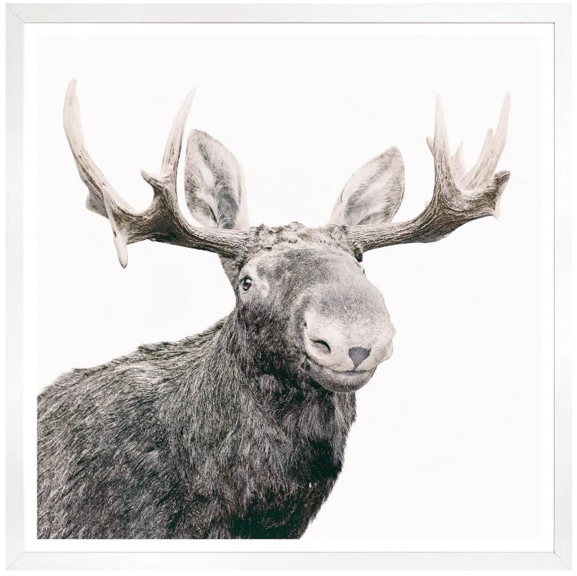 Happy Moose - 42 × 42 in