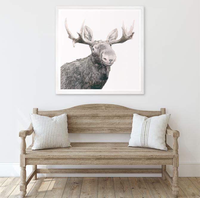 Happy Moose - 42 × 42 in