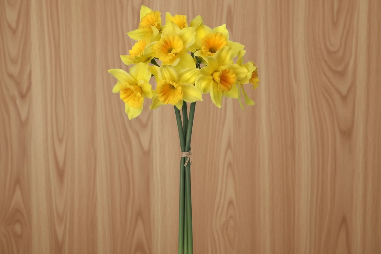 Daffodil Bundle 15" - Yellow