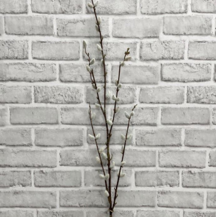 PUSSY WILLOW SPRAY