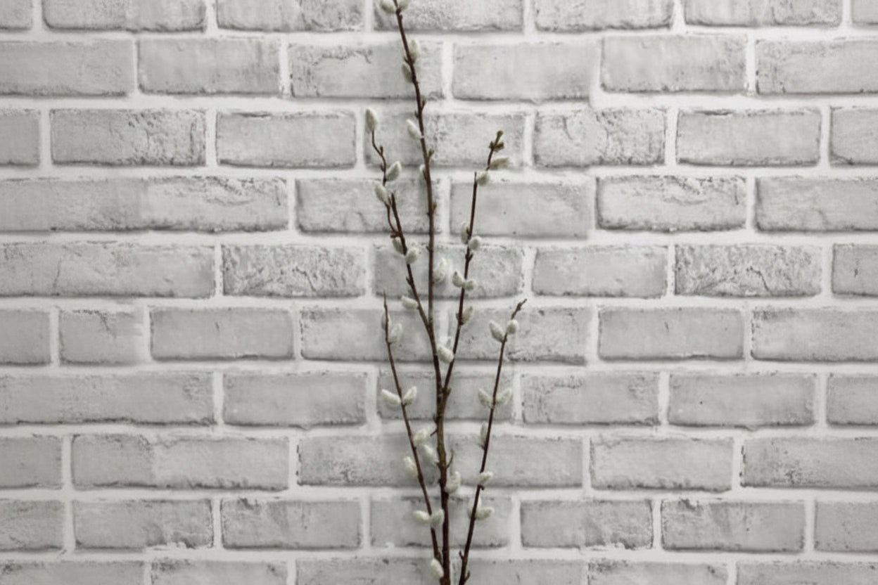 PUSSY WILLOW SPRAY