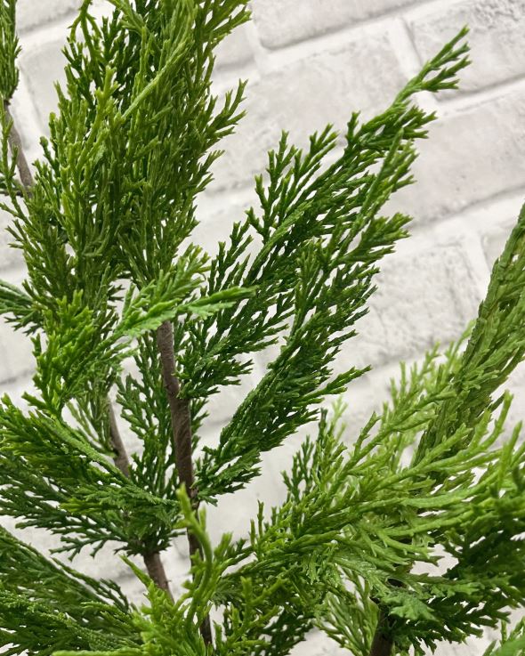 48” FRESH TOUCH WHISPY CEDAR BRANCH