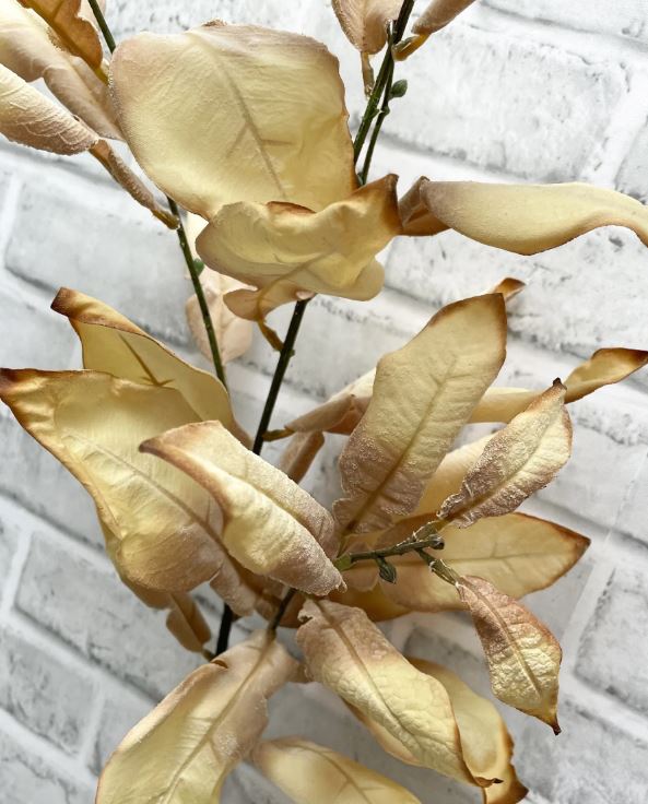 38" Cream Dried Look Leaves Spray