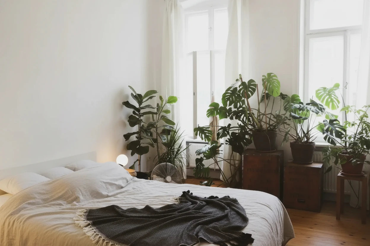 Minimalist 100% Cotton Throw Blankets & Bedspreads