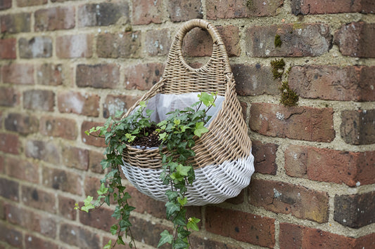 Grey Willow Wall Basket Dipped White, Plastic Liner