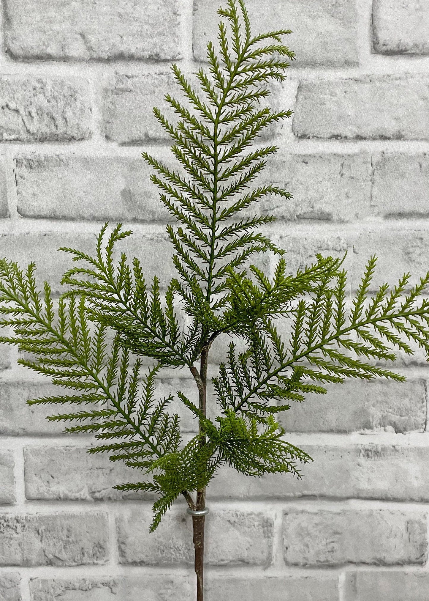 24" FRESH TOUCH CYPRESS SPRAY