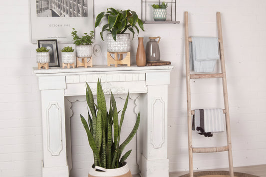 Whitewash Wood Ladder