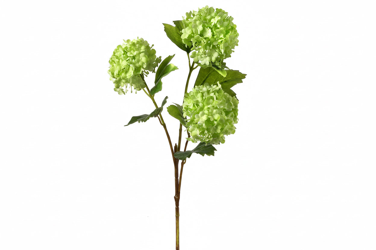 Viburnum x3 Spray 33" - Green