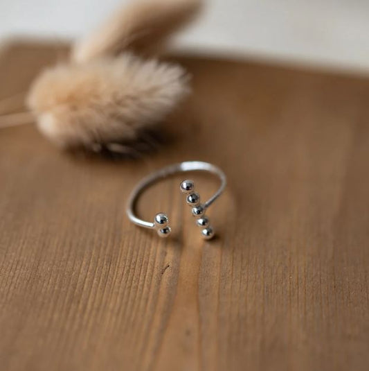 Alignment Ring