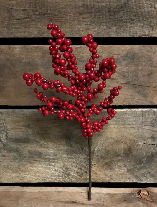 12" RED OUTDOOR BERRY PICK