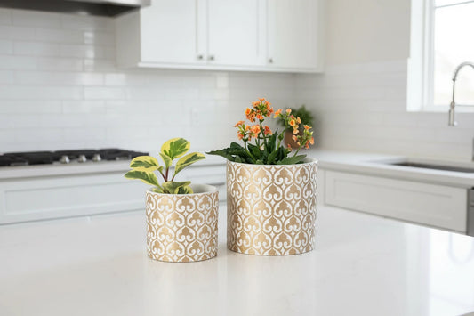 Cement Flowerpots White/Gold