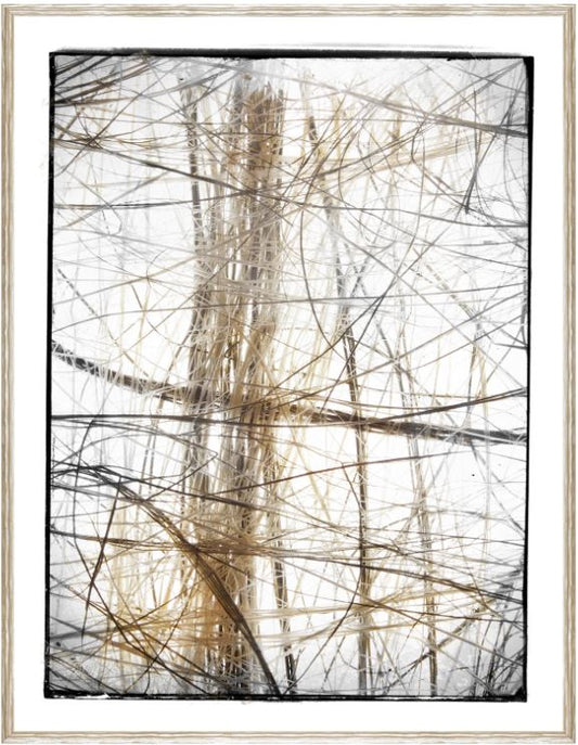 Gilded Sisal II 21 x 27