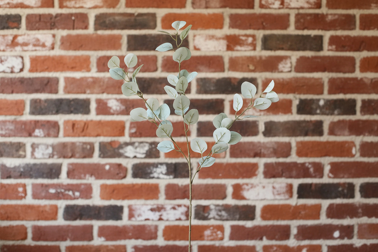 Money Leaf Branch