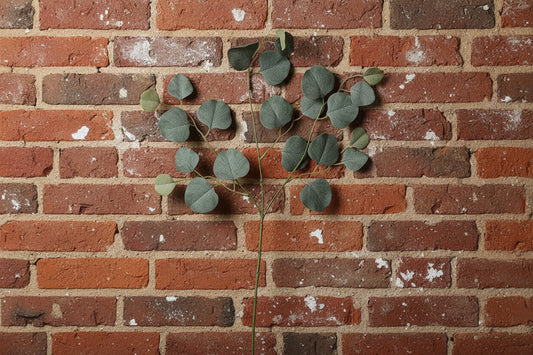 Green Leaf Stems