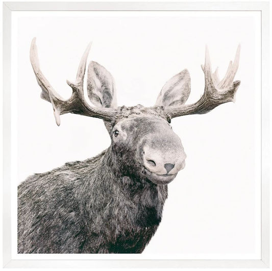 Happy Moose - 42 × 42 in