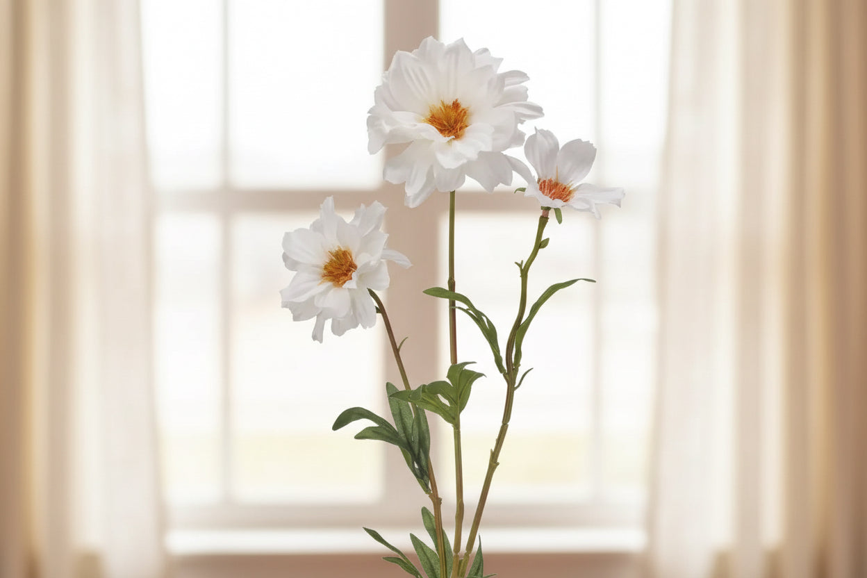 Cosmos x3 22" Spray - White