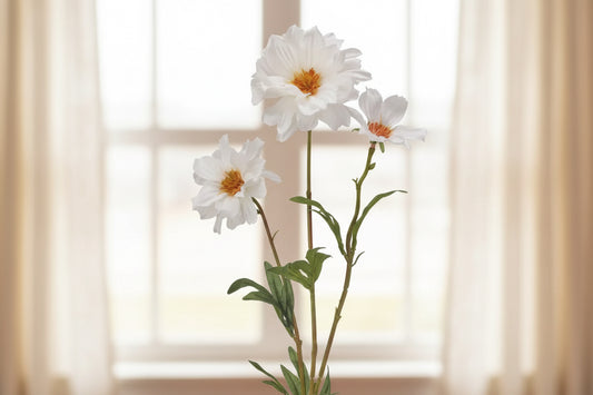 Cosmos x3 22" Spray - White