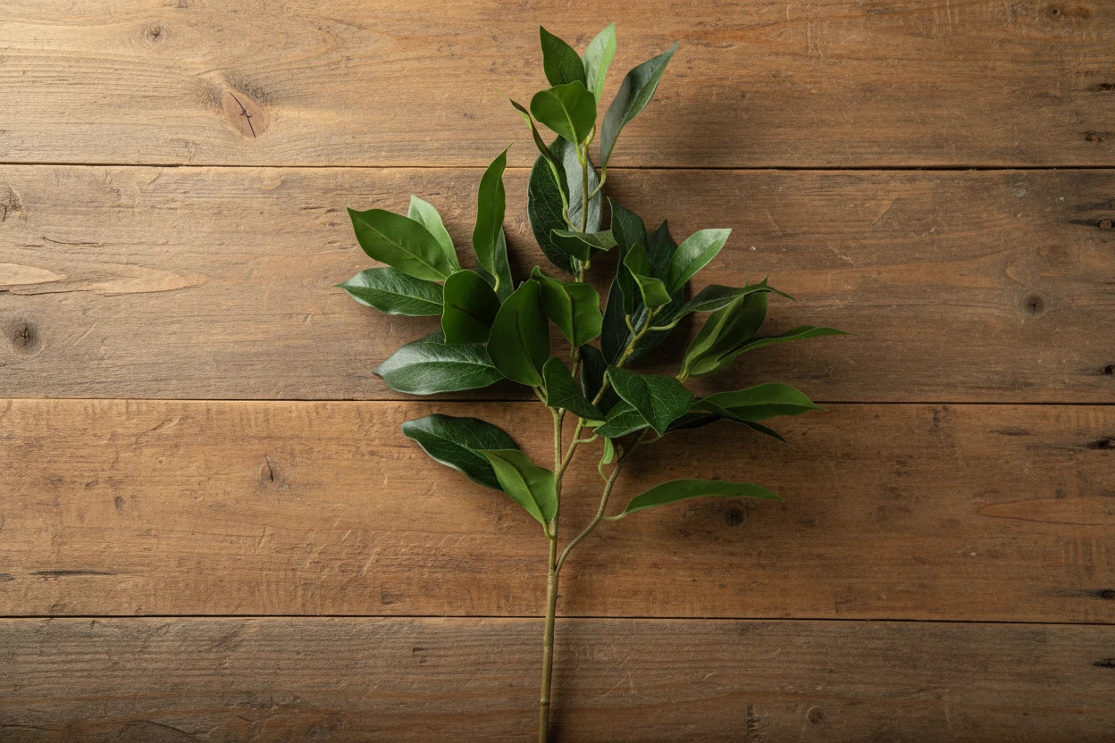 Lemon Leaf Spray 27" - Green