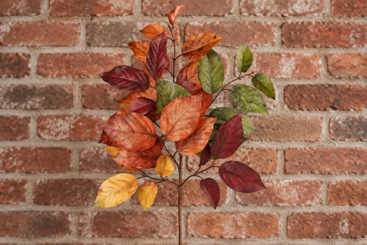 Salal Leaf 20″ Stem – Orange/Burgundy/Green