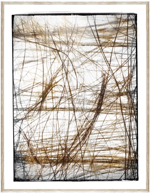 Gilded Sisal I 21 x 27