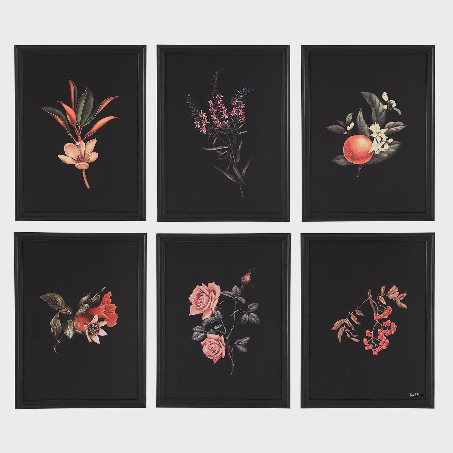 Wallflower Moody Flower Print