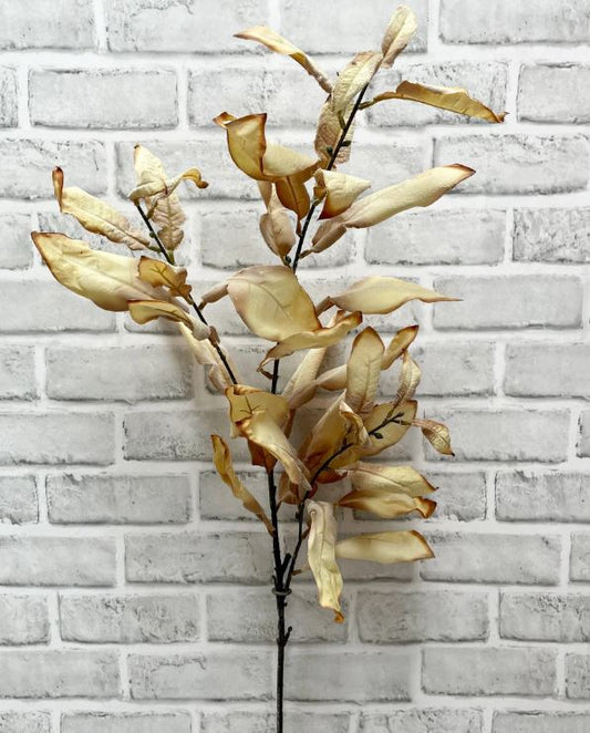 38" Cream Dried Look Leaves Spray